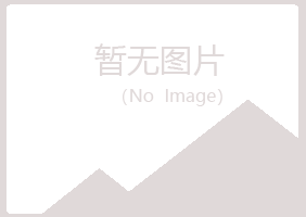 琼山忆山能源有限公司